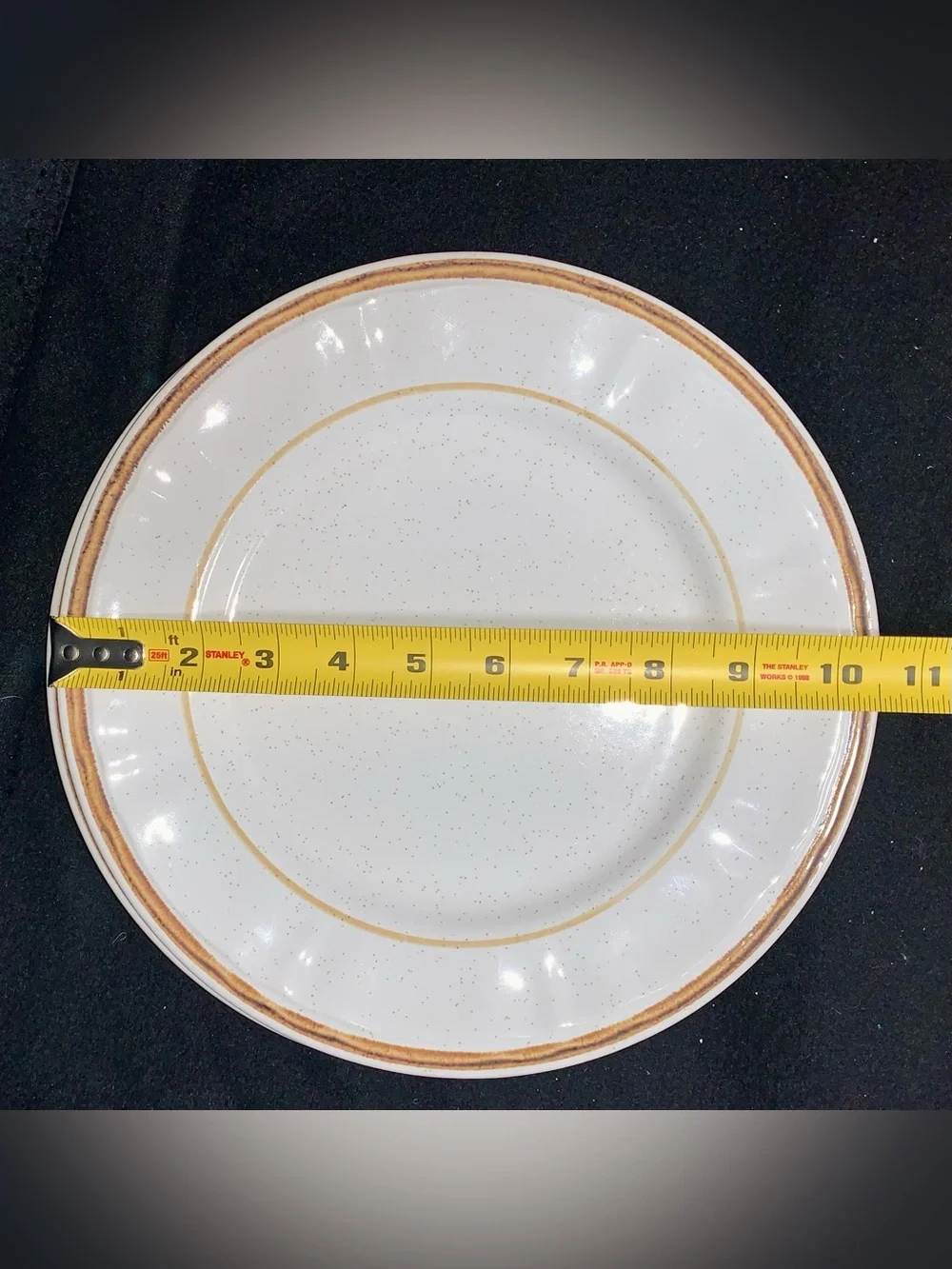 Handpainted Americana Hearthside Heritage Stoneware Dinner Plates Set of (2)